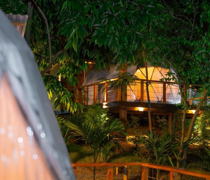 PHOTO-2024-12-13-13-55-15(1)