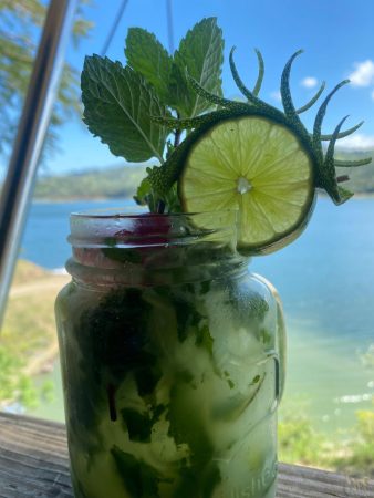 PHOTO-2025-03-14-17-15-54