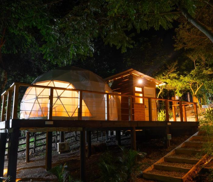 d14ace60-3f18-4da9-96dd-1b6a20ceede6